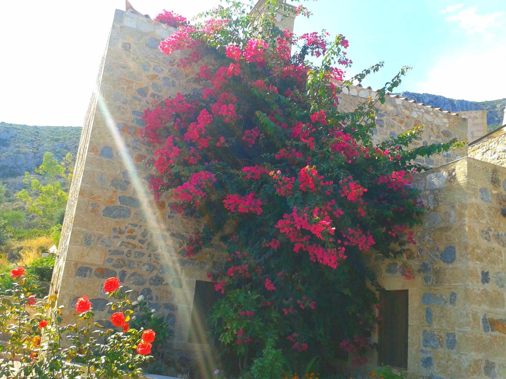 Lithochtisto Otel Monemvasía Dış mekan fotoğraf